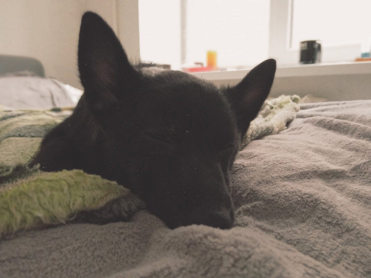 фото: открытые источники