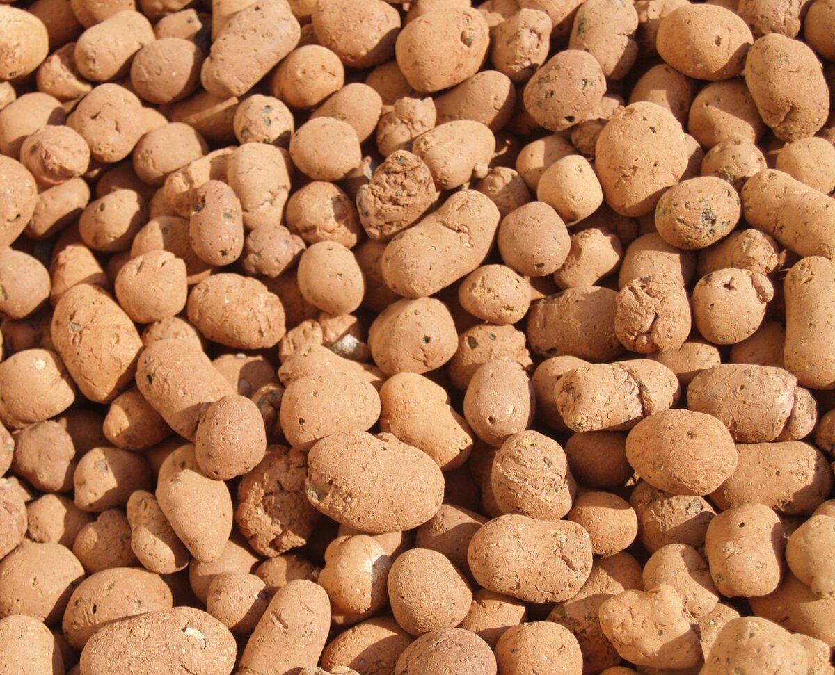 Галька для дренажа. Фото взято из сети.