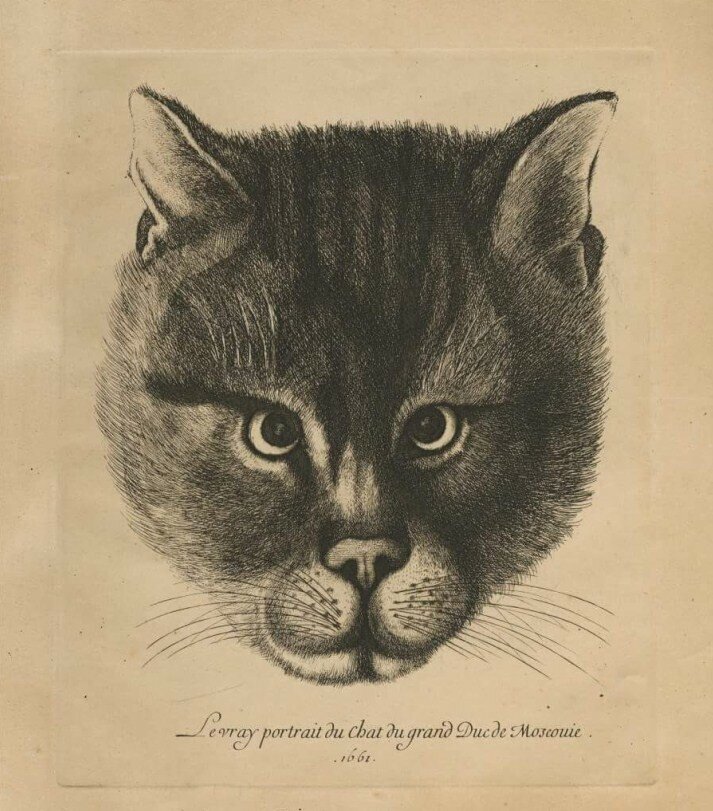 Вацлав Холлар (?) Подлинный портрет кота великого князя Московии. 1663
