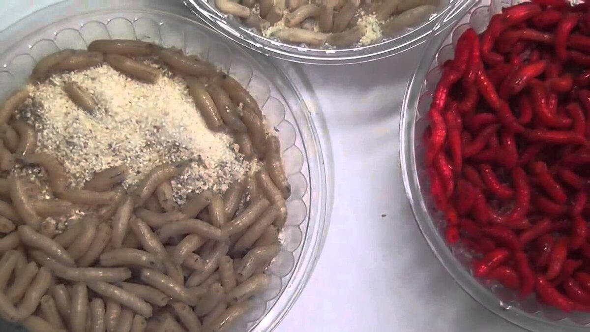 Фото с просторов интернета