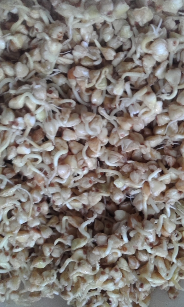 У меня проросли все крупинки