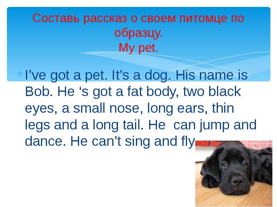 He has dog. Рассказ о питомце на английском. Описать собаку на английском. Рассказ my Pet. Английский my Pet.