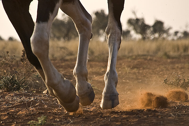 Фото из свободного источника.