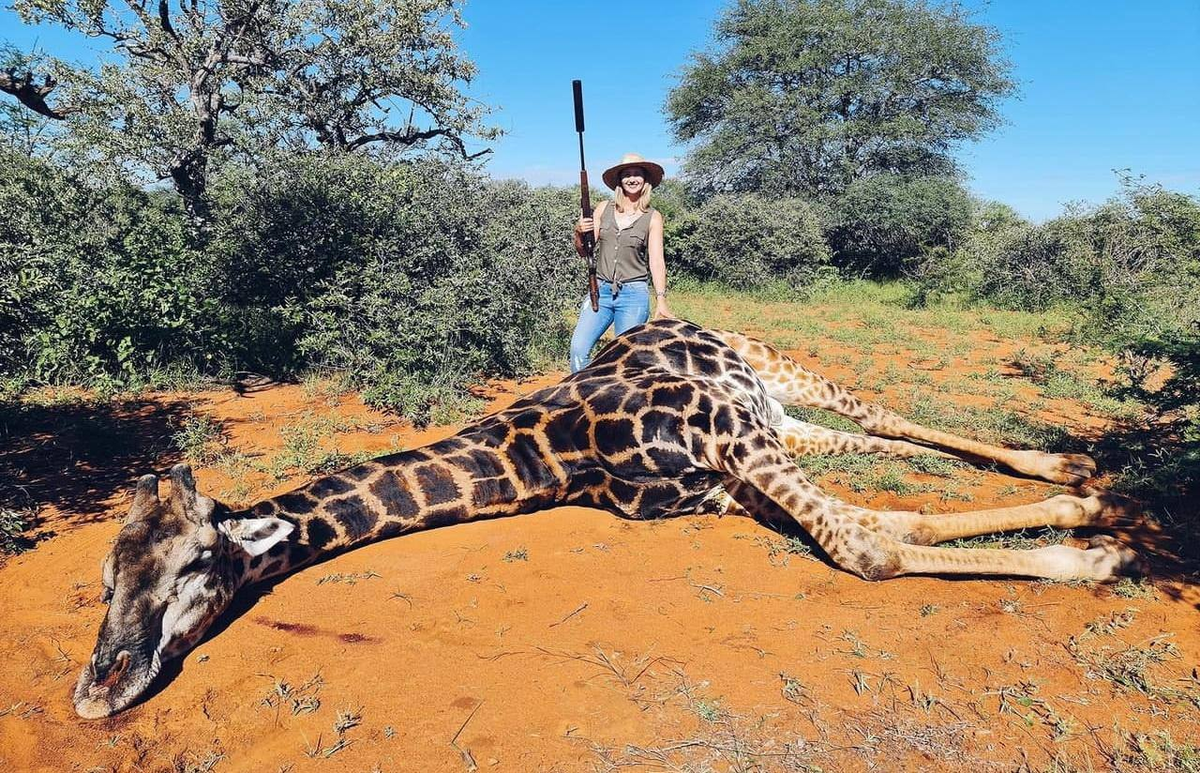 Больше фото в нашей телеге!