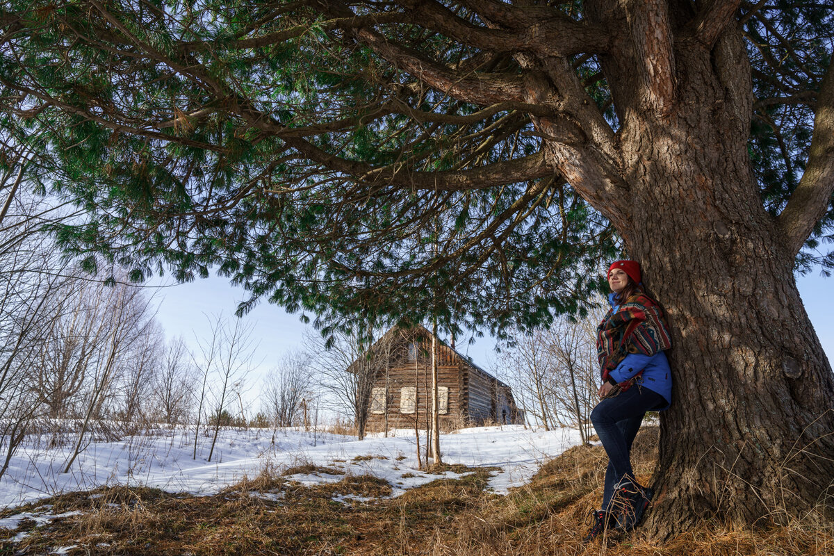 Дружелюбный Кедр-гигант где-то в Виноградовском районе Архангельской области. Фото Максима Звягинцева.