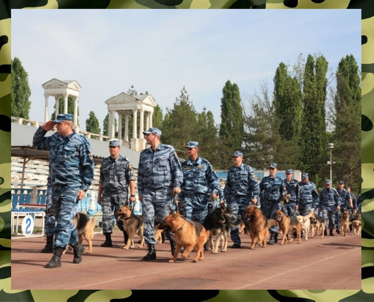 Насонов михаил иванович кинолог. Форма кинолога. Протвино губернский колледж кинология. Стив манн кинолог. Кинологический колледж в москве скрябина.