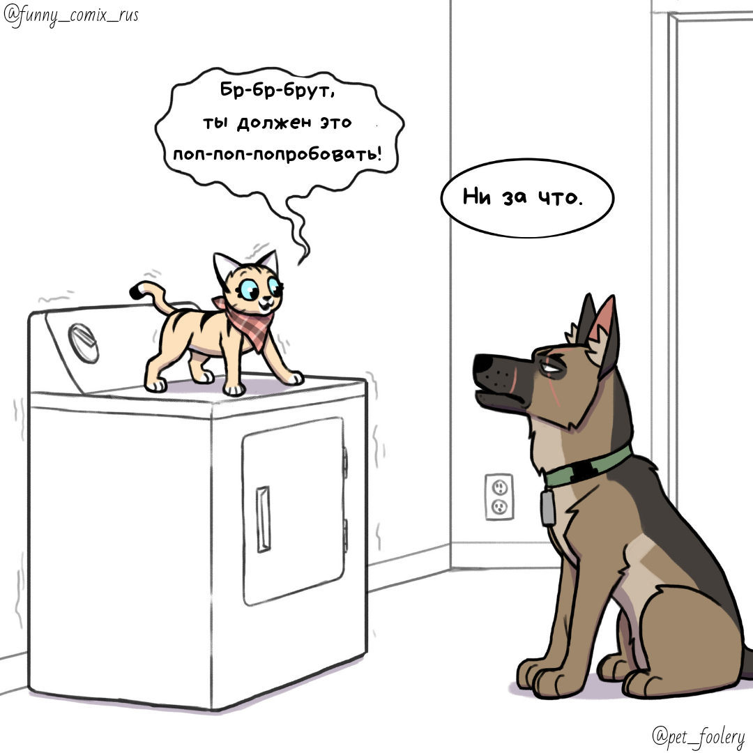 Источник: Instagram @funny_comix_rus