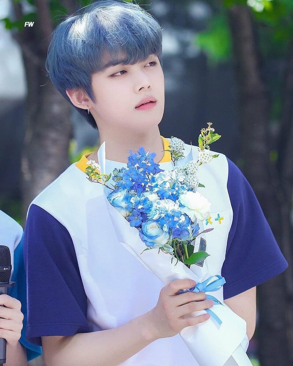 Яндекс.Картинки 