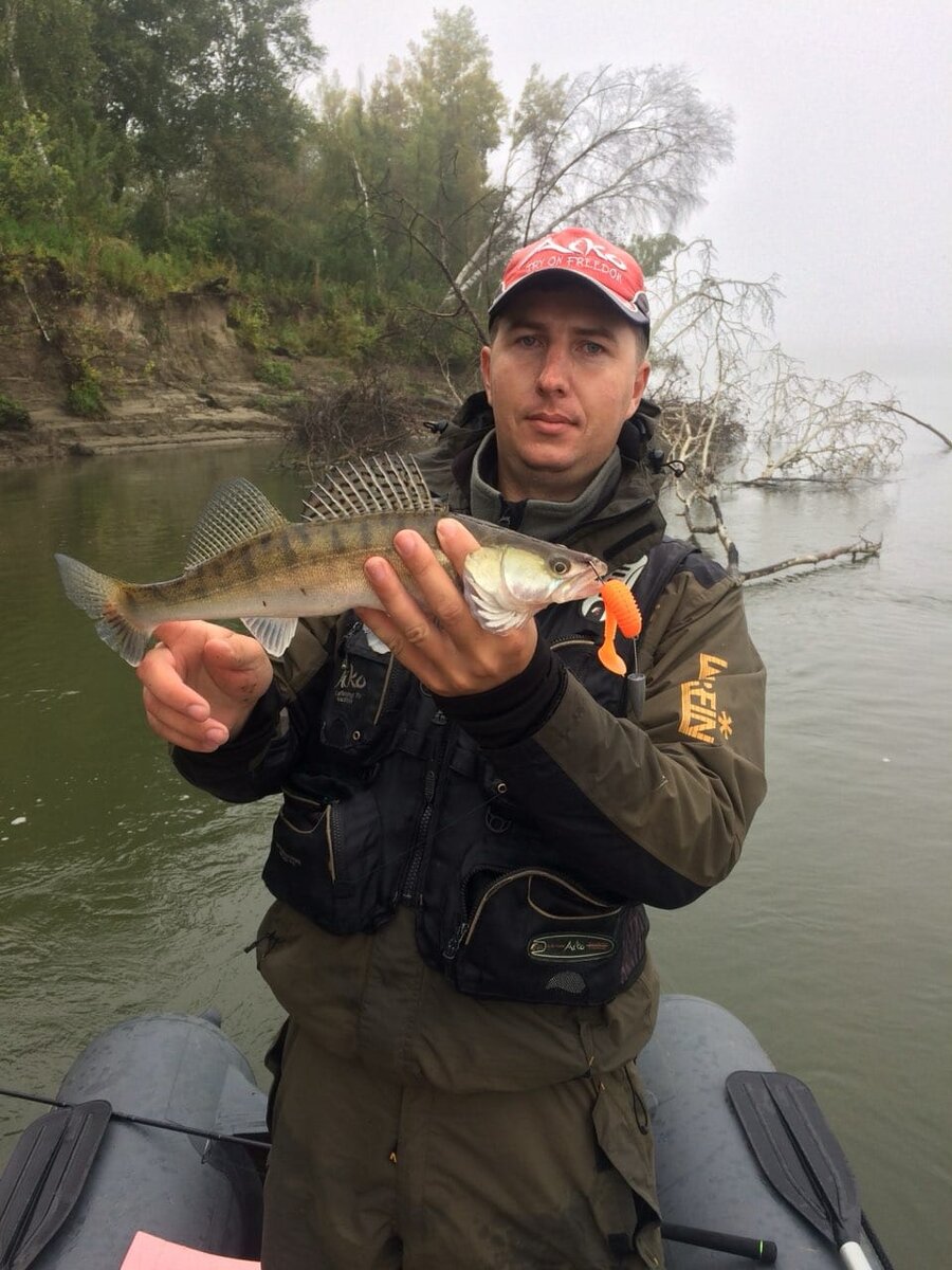 Судачок на "каролину"(фото с разрешения автора)