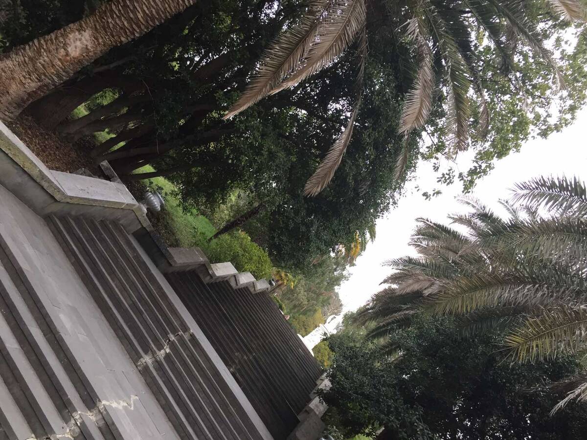 Центральная лестница, ведущая к фонтану Сказка. 