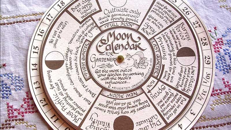 Устройство на работу по лунному календарю