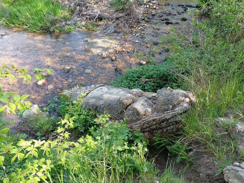 Каменная русалка