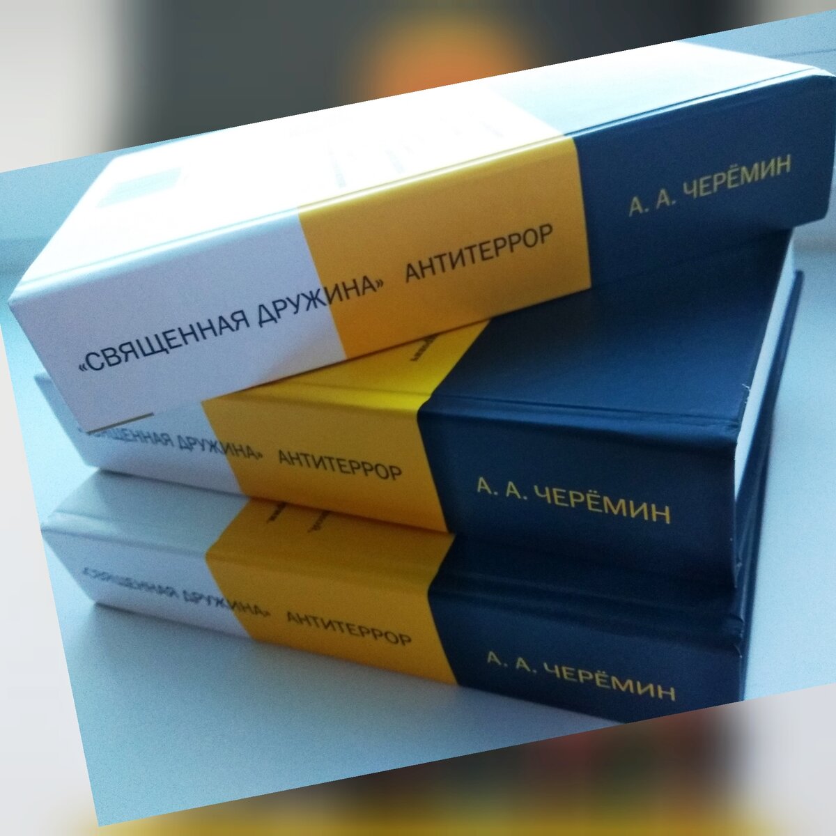 Книга автор историка, писателя, профессора Черемина Александра Александровича "Священная Дружина. Антитеррор" показана история Российской империи в 19-х -20-х веках.