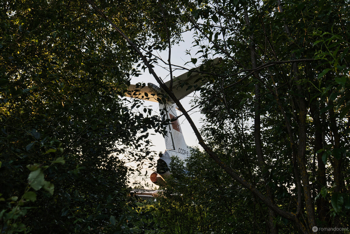 Чего только не найдёшь в лесу: грибы, ягоды, заброшенные ракетные шахты и санатории, или вот например старые самолёты. Листайте →