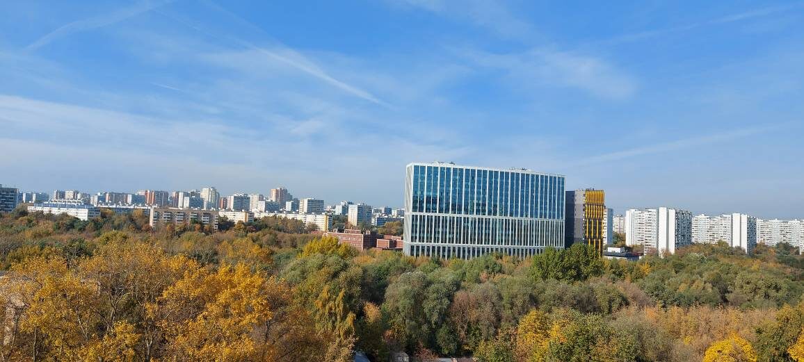 Сегодняшний вид из моего окна