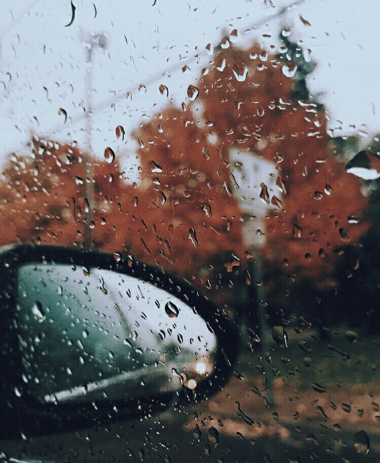 Взято из открытых источников