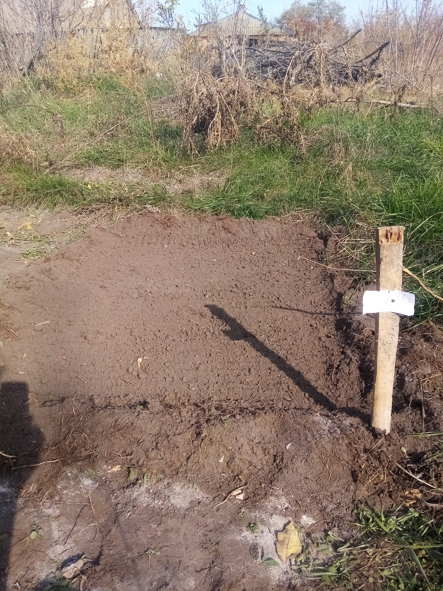 Рита отметила наши посевы колышком, "чтобы не забыть". И то верно: мы-то знаем, а мужики вполне могут не заметить и затоптать.