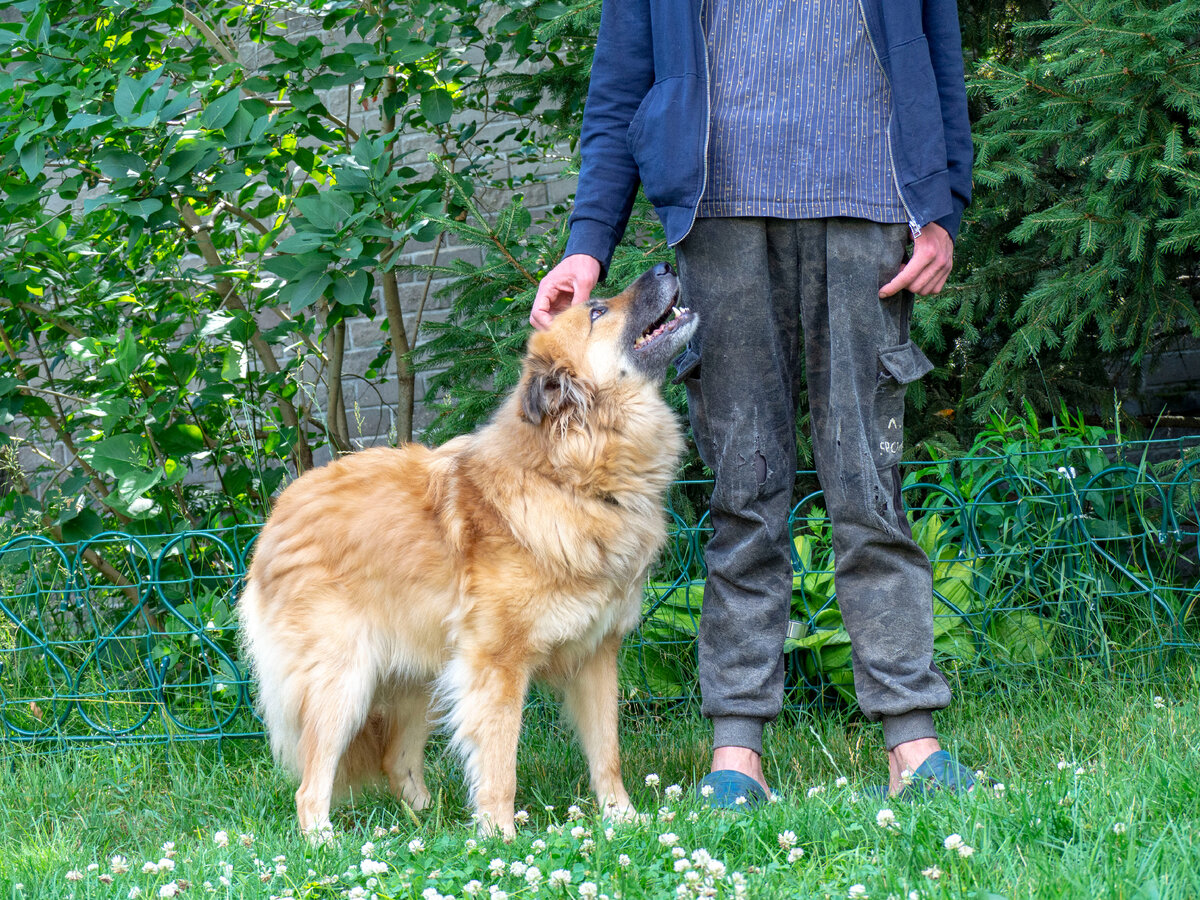 И сейчас она всегда подойдет к человеку и спросит: "Я ведь молодец?" Ника удивительная!