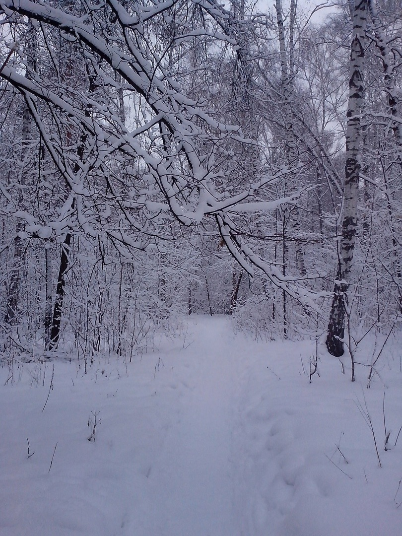 г. Новосибирск Академгородок 