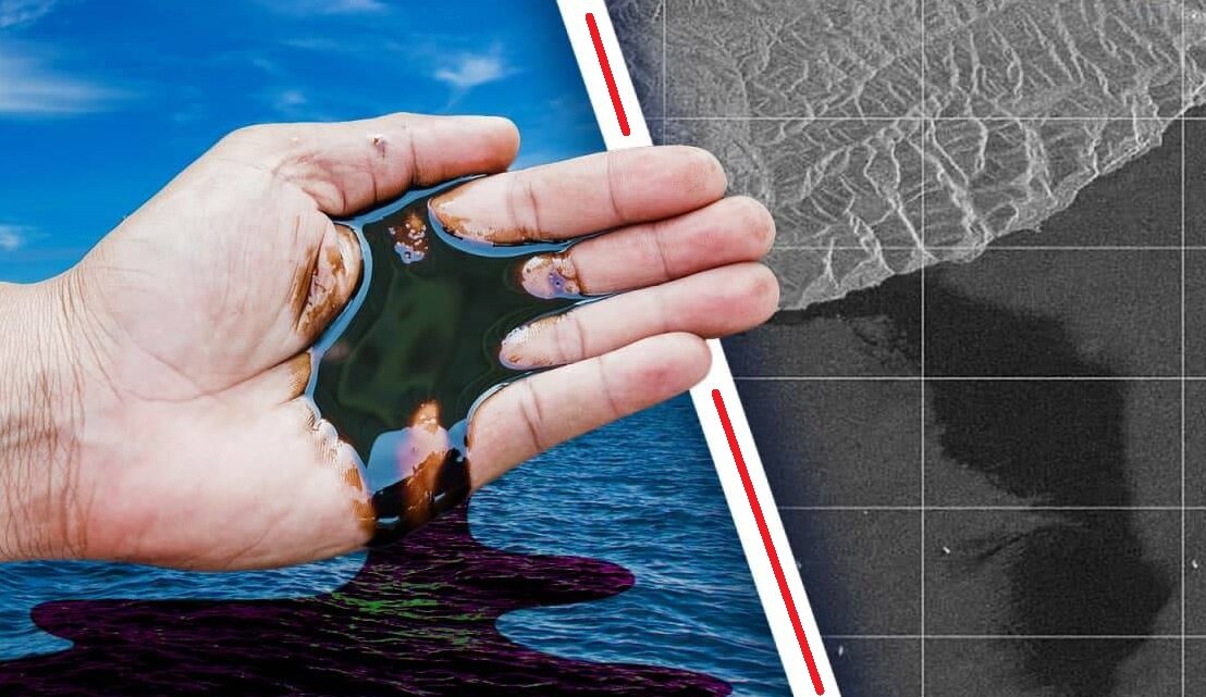 Фото из открытого источника