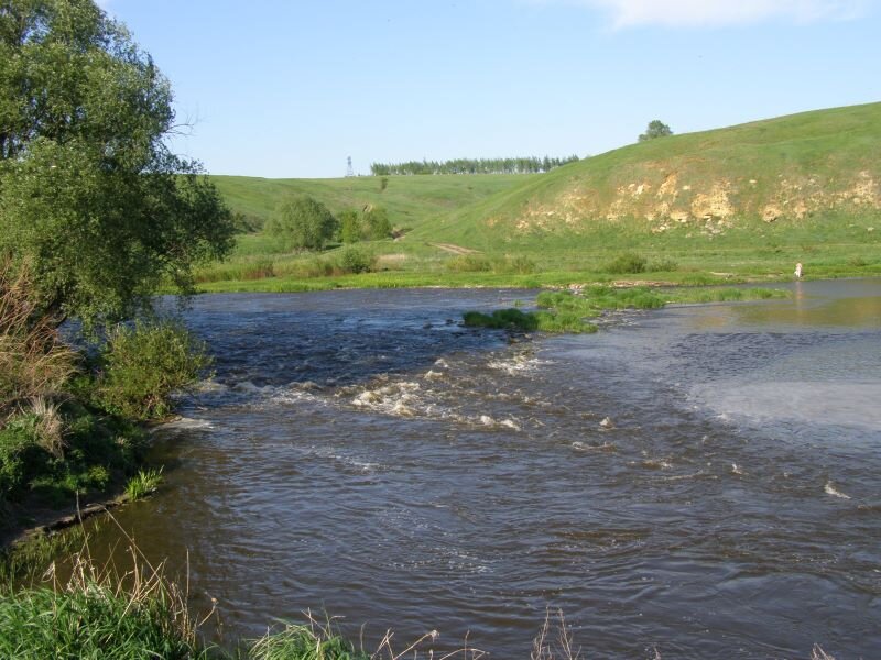 Река непрядва. Непрядва (река). Непрядва деревня. Растения реки Непрядва. Речка Непрядва в деревне.