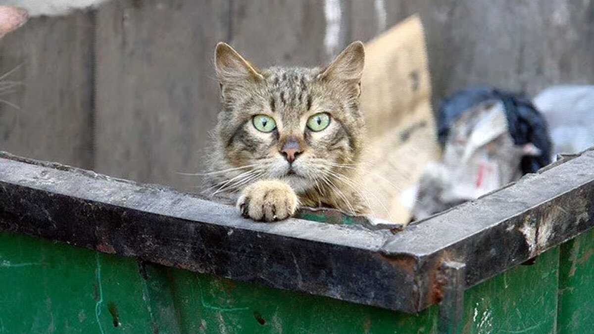 Автор фото: Алексей Кумачев