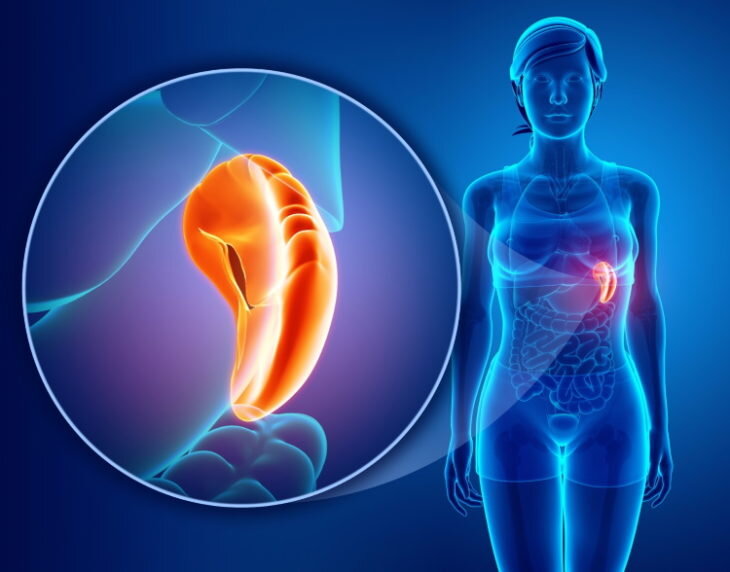 Коллаж из интернета: https://limfouzel.ru 