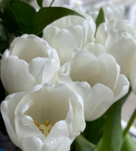 Белая полоса. 