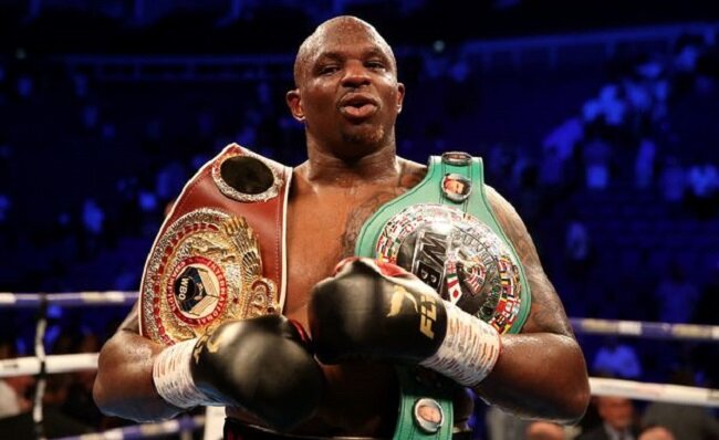 источник vringe.com