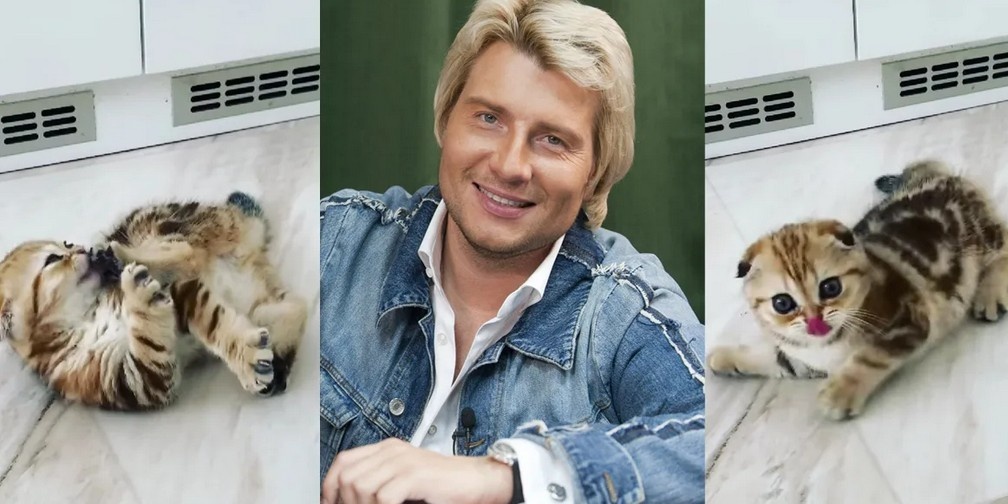 Фото из открытых источников