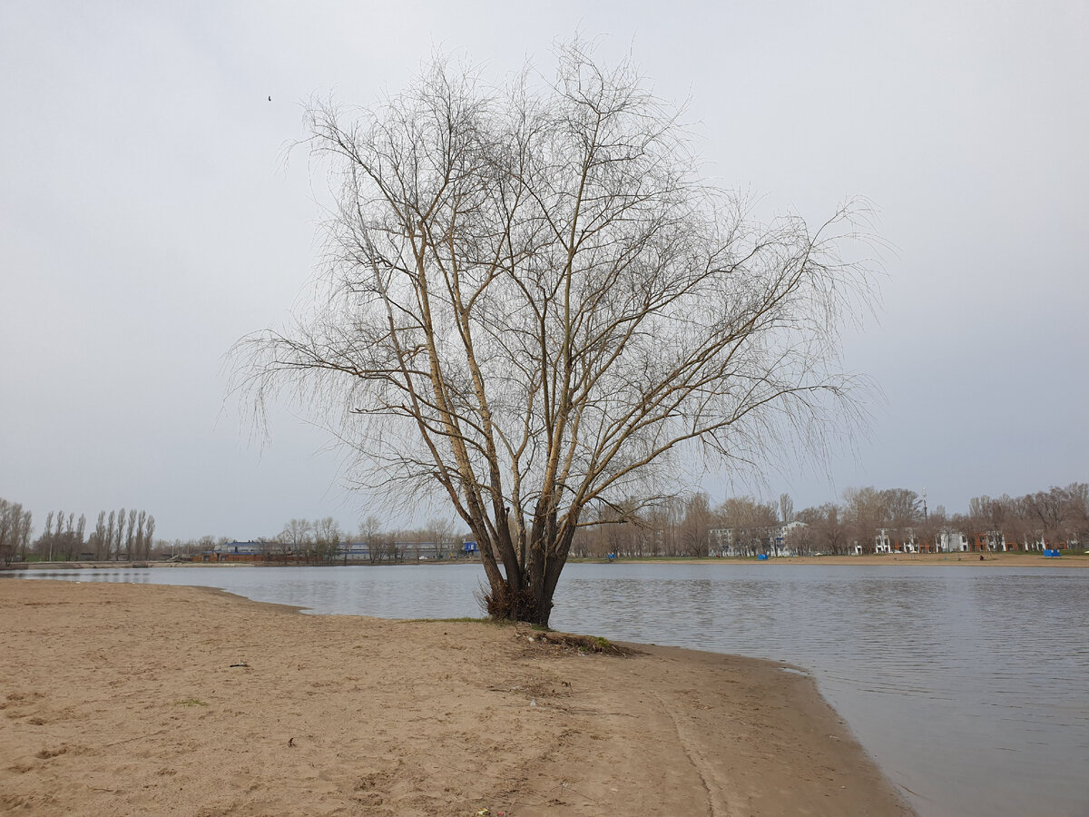 пляж в балаково