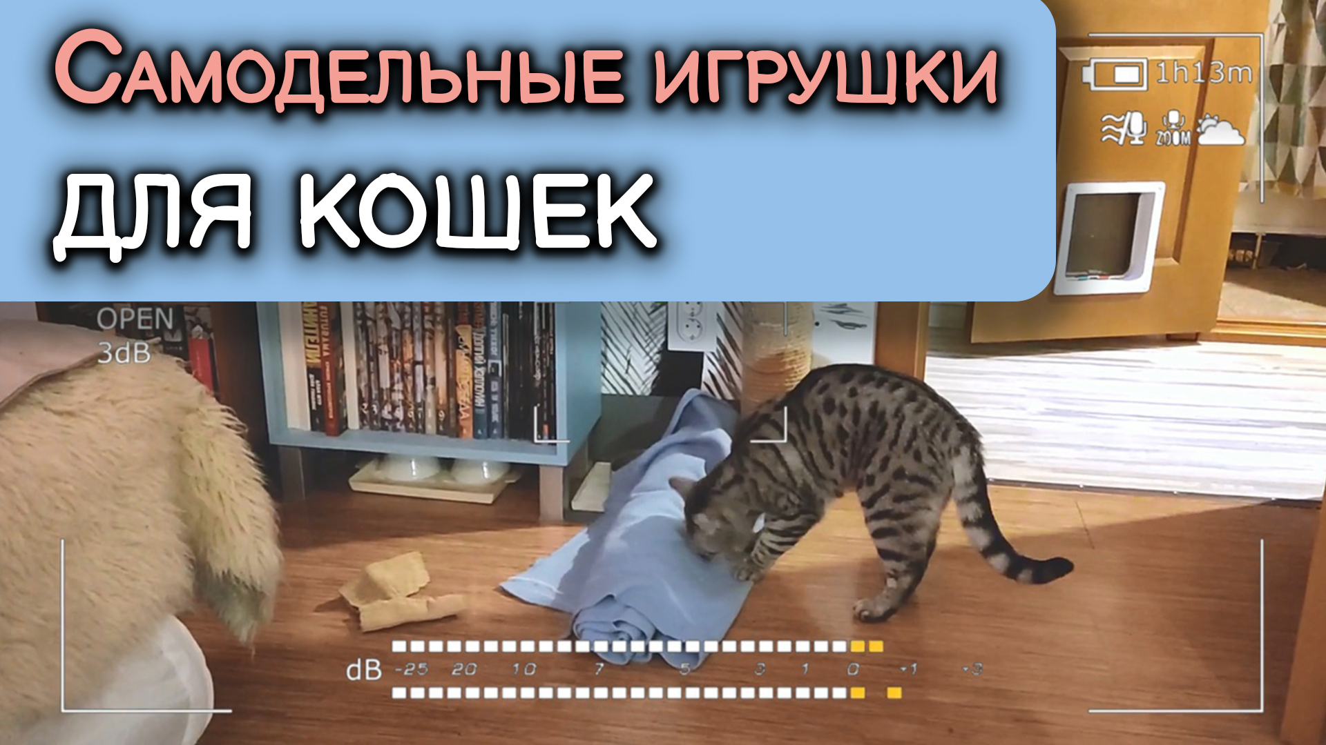 Самодельные игрушки для кошек. Что нам больше понравилось.