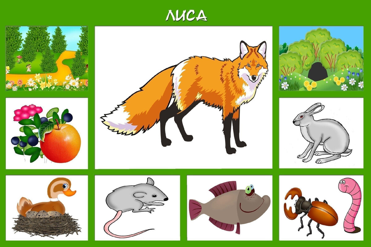 интерактивная игра кто чем питается дикие животные | Дзен
