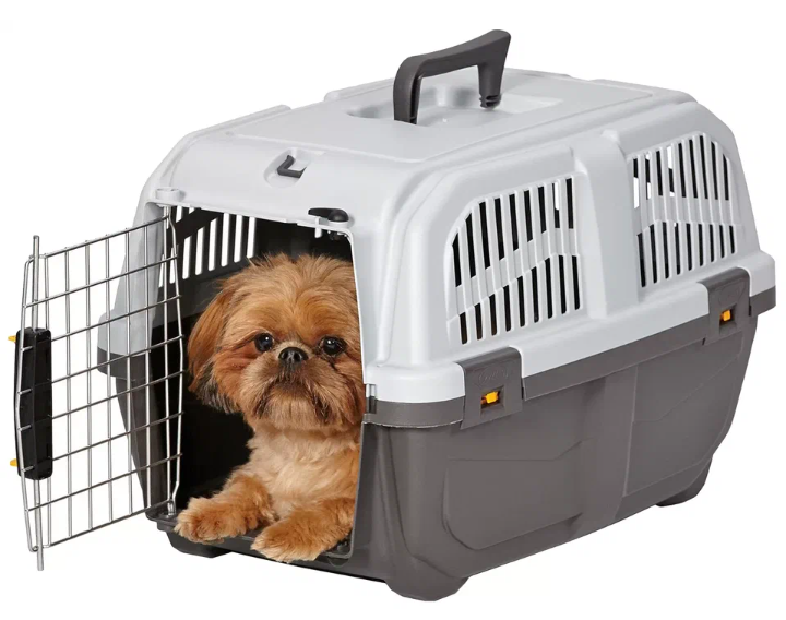 Некоторые хозяева запирают маленького щенка на время своего отсутствия в контейнере, но делать этого не стоит.