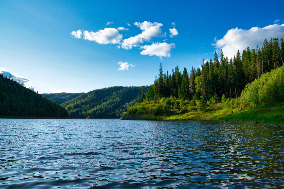 Природа Красноярска