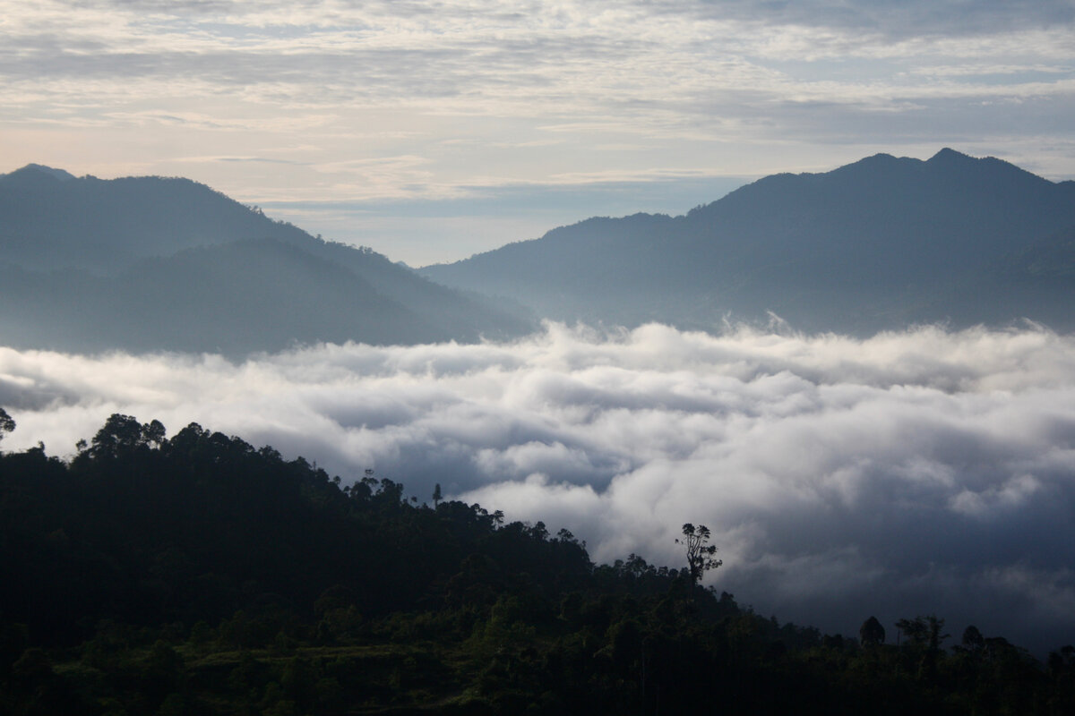 Вид из моего окна №1