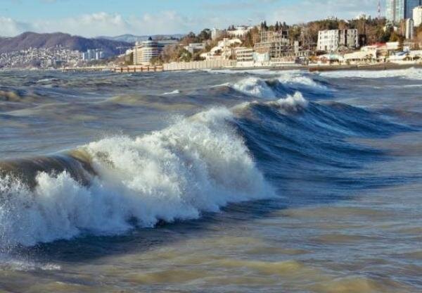 Источник фото: фото из открытых источников 