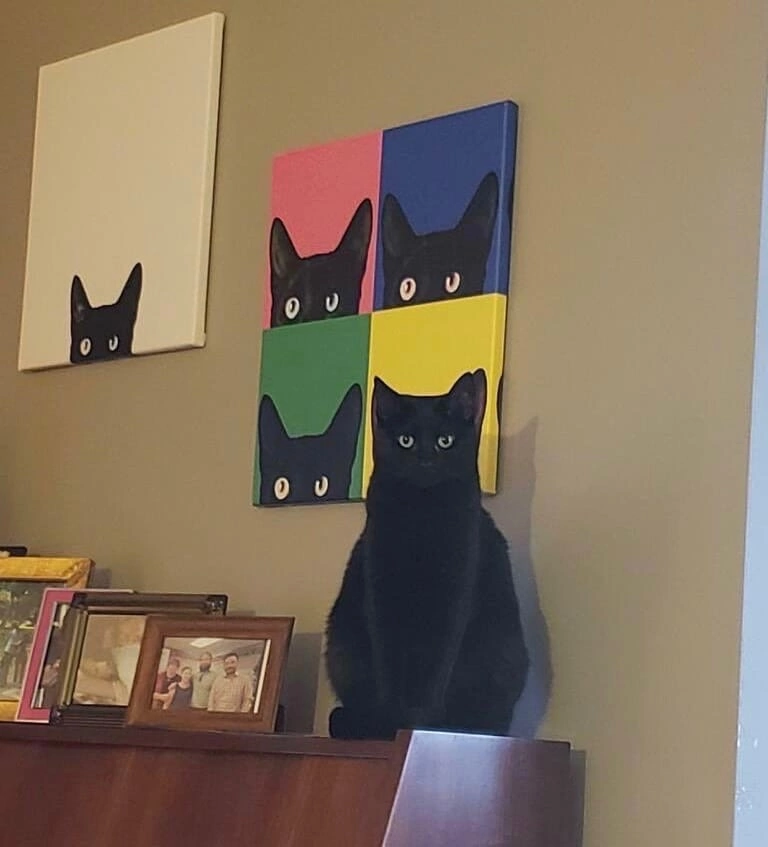 Прикольно да ? 