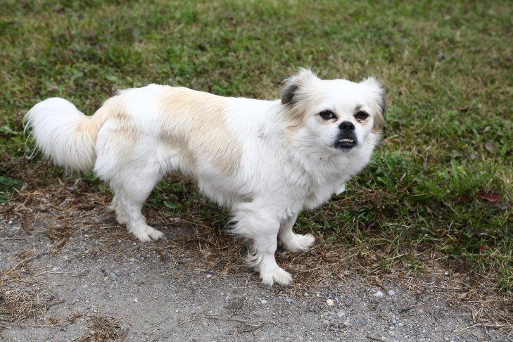    Фото из архива VN.ru