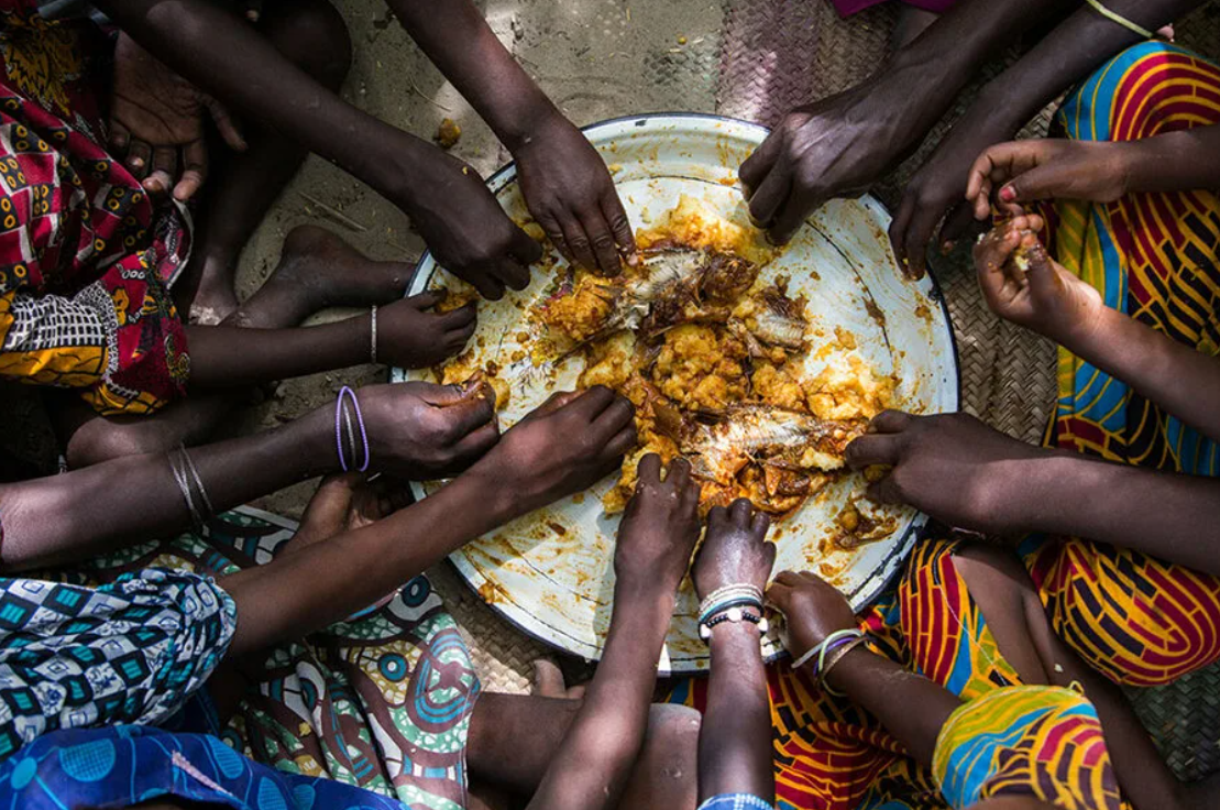 Проблема голода в мире. Продовольственная проблема. Недостаток продовольствия в Африке. Нехватка еды.