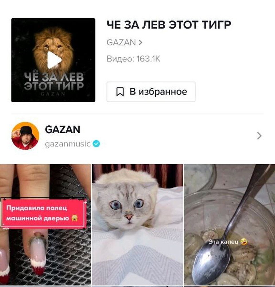     Фото: TikTok