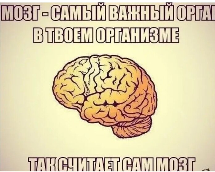 Свободный доступ 