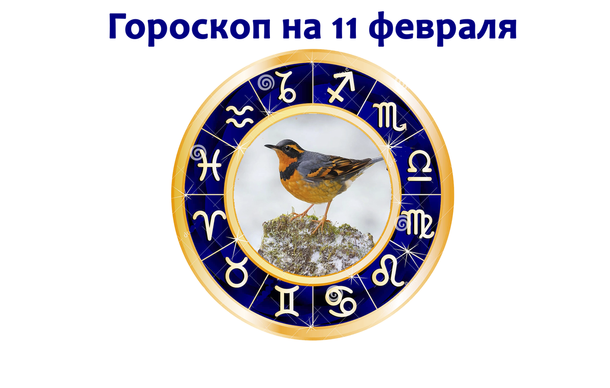 Гороскоп 16 год