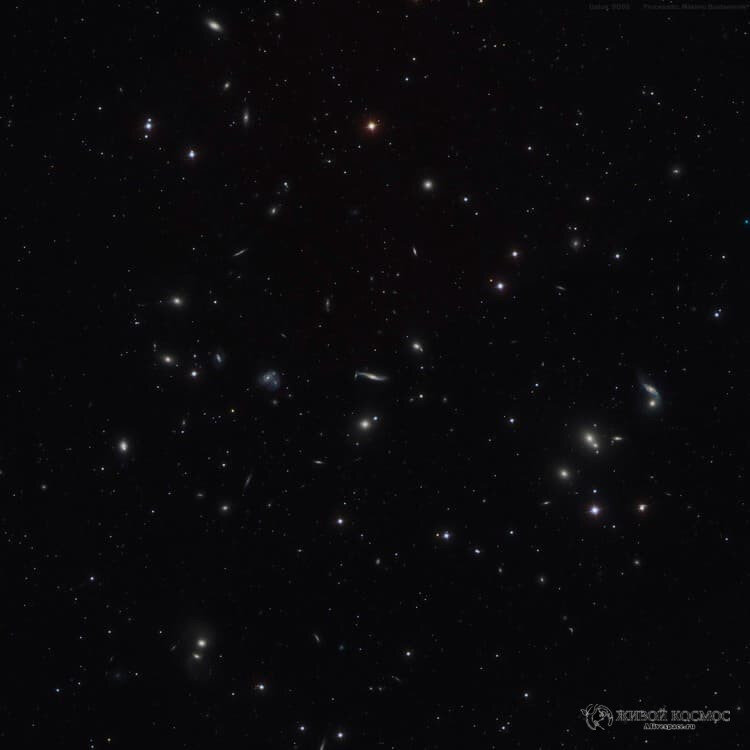      Скопление галактик Abell 2151. Из открытых источников.