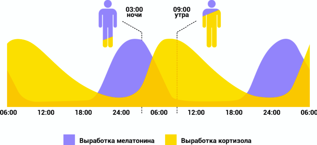 Гормон вырабатывается ночью гормон сна. График выработки мелатонина и кортизола. Мелатонин график выработки. Выработка мелатонина по часам. Часы выработки мелатонина в организме человека.