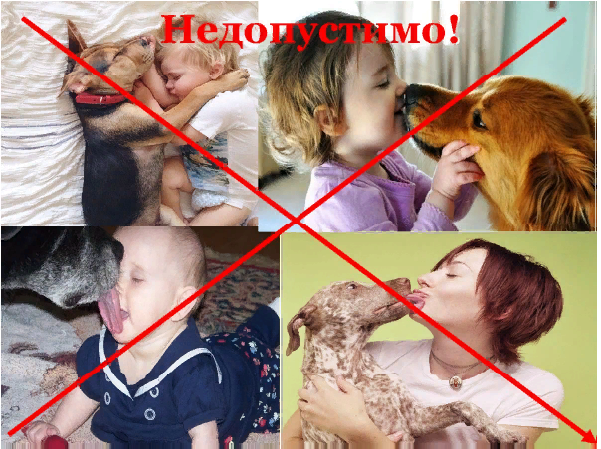 сделана в PowerPoint