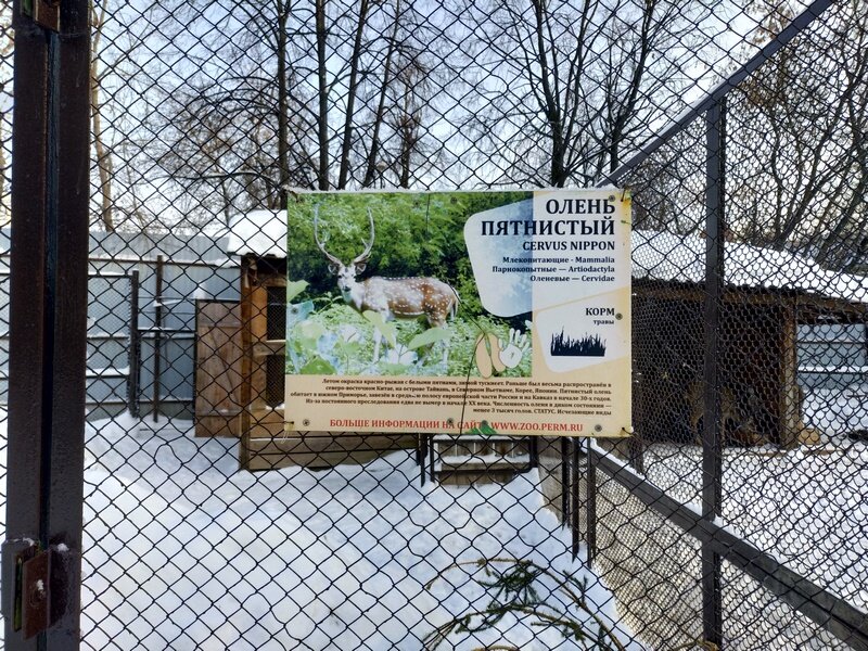 Работа зоопарка пермь. Кладбище зоопарк Пермь. Ворота зоопарка в Черняевском лесу. Новый зоопарк Пермь адрес. Входная группа зоопарк Пермь.