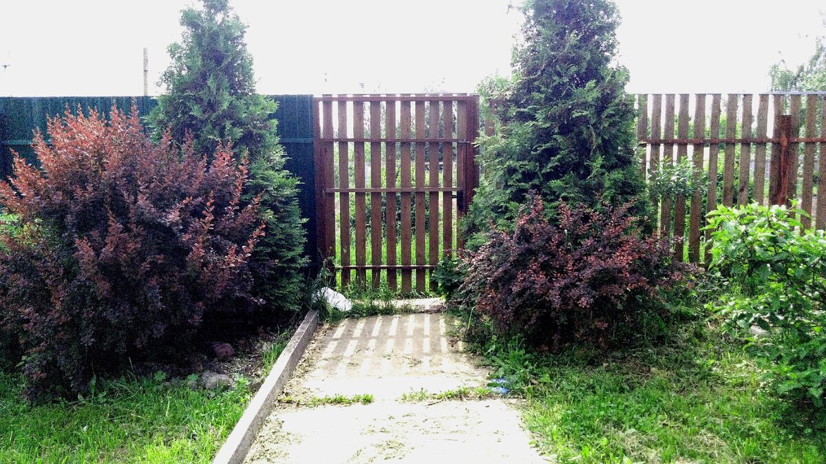 Часть границы закрыта профлистом, а часть - деревянным забором. Сделано всё в одно время. 