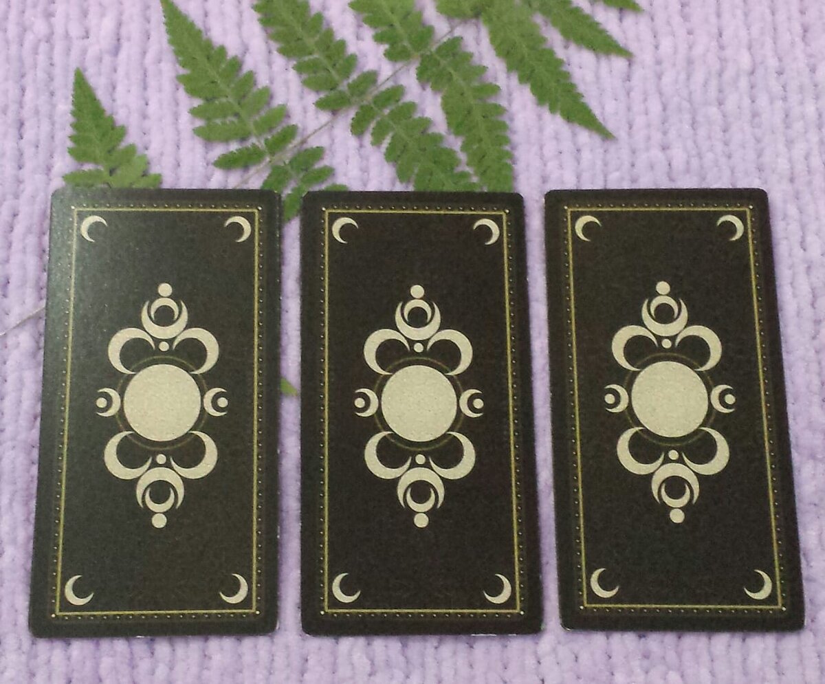 Выбор варианта