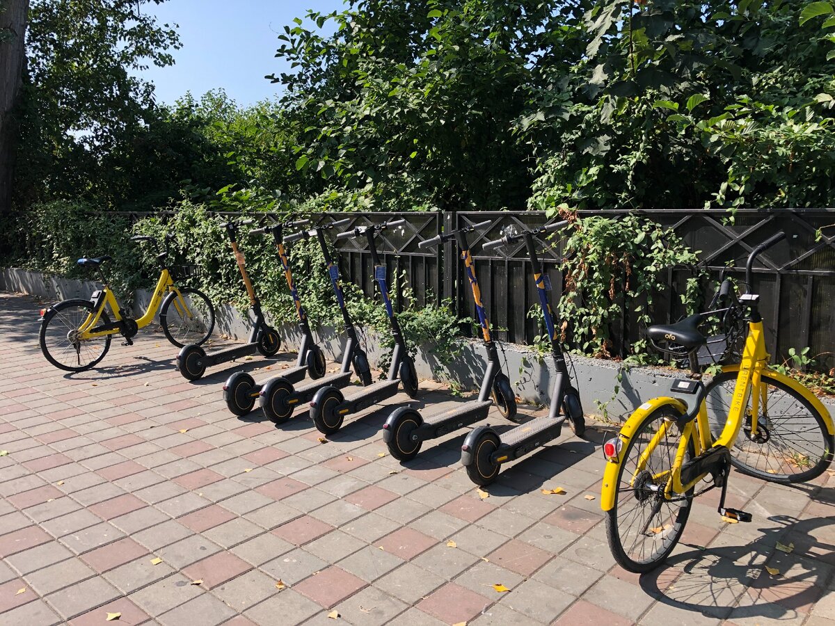 Прокат велосипедов и самокатов модель. Самокаты напрокат спб. Прокат велосипедов и самокатов. Прокат велосипедов и самокатов. Прокат велосипедов и самокатов.